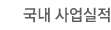 국내 사업실적