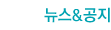 뉴스&공지