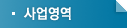 사업영역