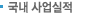 국내 사업실적